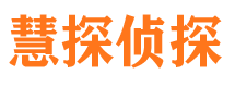 太子河市私家侦探